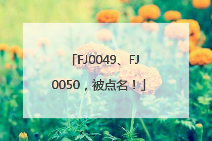 FJ0049、FJ0050，被点名！